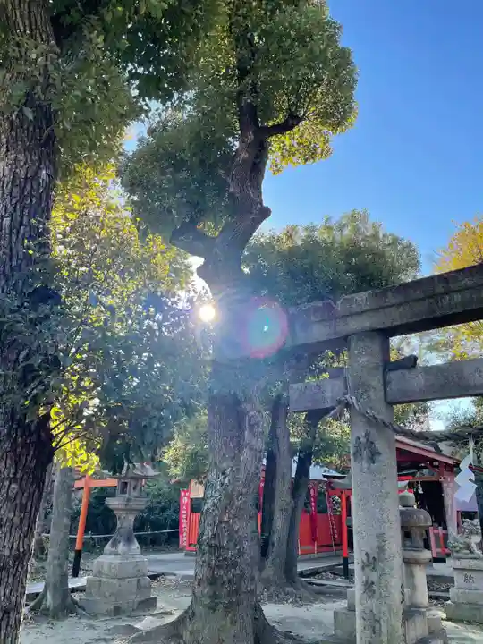 難波大社 生國魂神社の自然