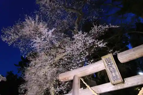 田村神社の鳥居