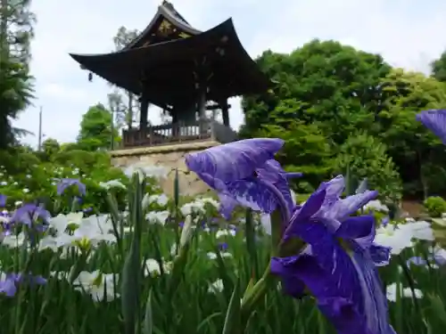 天台宗　長窪山　正覚寺の自然