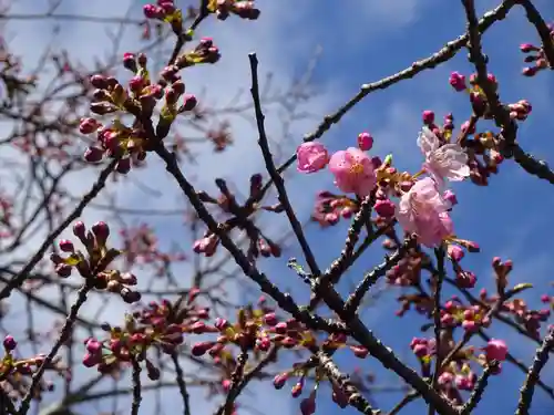 かっぱの寺 栖足寺の自然