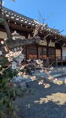 浄安寺(京都府)