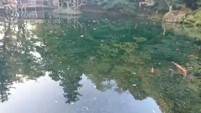 涌釜神社(栃木県)