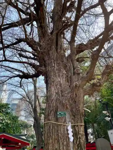 花園神社(東京都)