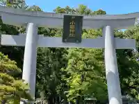 小國神社の{uncategorized: "未分類", other: "その他", undefined: "問題あり", building: "その他建物", grave: "お墓", sacred_gate: "鳥居", guardian: "狛犬", statue: "像", buddha: "仏像", history: "歴史", nature: "自然", garden: "庭園", animal: "動物", pagoda: "塔", temizu: "手水舎", mountain_gate: "山門・神門", sanctuary: "本殿・本堂", subordinate: "末社・摂社", art: "芸術", scenery: "景色", jizo: "地蔵", ema: "絵馬", goshuin: "御朱印", omikuji: "おみくじ", items: "授与品その他", amulet: "お守り", goshuincho: "御朱印帳", eats: "食事", festival: "お祭り", votive_dance: "神楽", shichigosan: "七五三参", wedding: "結婚式", experience: "体験その他", initially: "初詣", around: "周辺", anti_infection: "感染症対策"}
