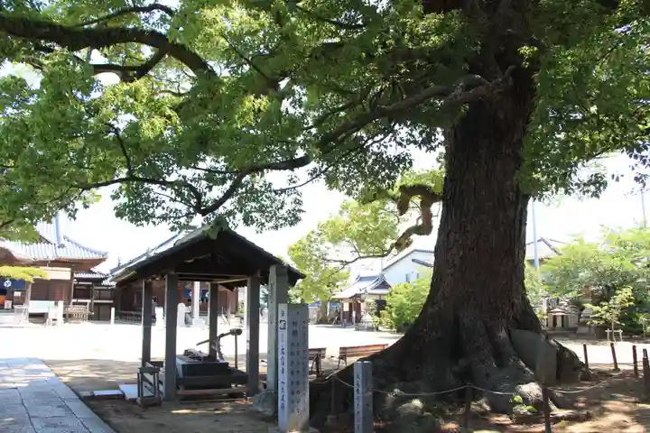 長尾寺(香川県)