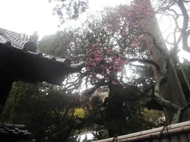 寿福寺のその他建物