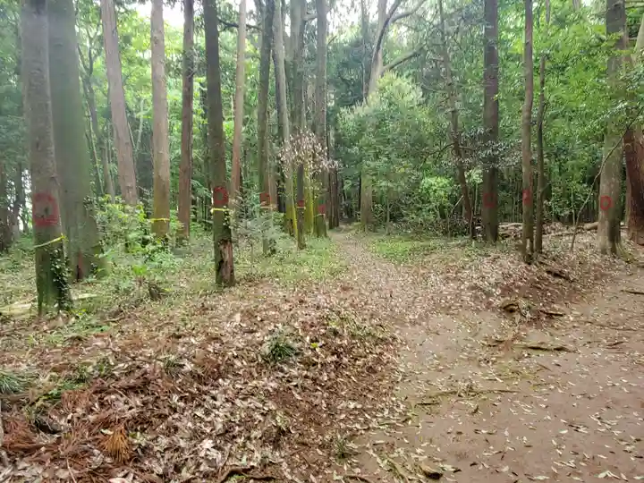 白幡神社の周辺
