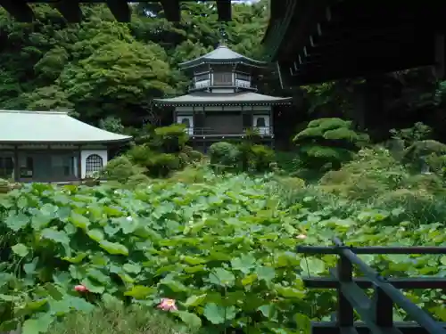 光明寺の庭園