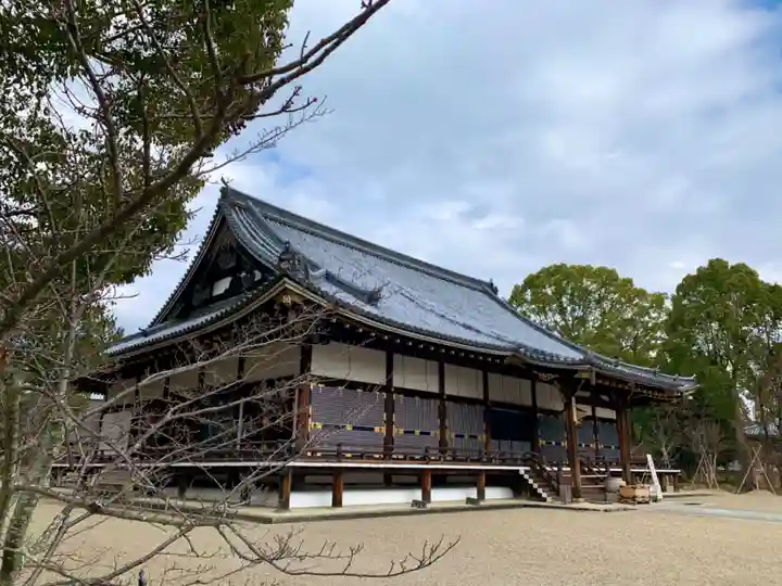 仁和寺の本殿・本堂