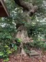 三福寺(千葉県)