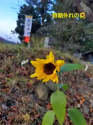 高司神社〜むすびの神の鎮まる社〜(福島県)