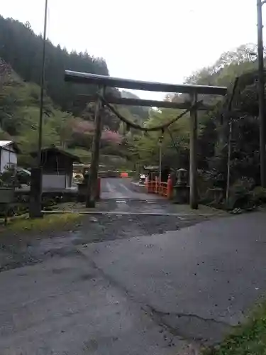 代々木神社の鳥居