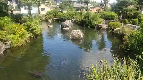 圓鏡寺の庭園