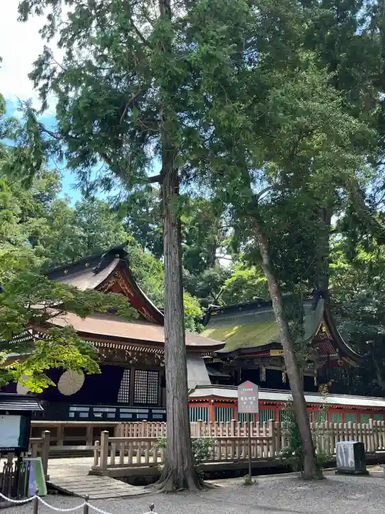 鹿島神宮の{uncategorized: "未分類", other: "その他", undefined: "問題あり", building: "その他建物", grave: "お墓", sacred_gate: "鳥居", guardian: "狛犬", statue: "像", buddha: "仏像", history: "歴史", nature: "自然", garden: "庭園", animal: "動物", pagoda: "塔", temizu: "手水舎", mountain_gate: "山門・神門", sanctuary: "本殿・本堂", subordinate: "末社・摂社", art: "芸術", scenery: "景色", jizo: "地蔵", ema: "絵馬", goshuin: "御朱印", omikuji: "おみくじ", items: "授与品その他", amulet: "お守り", goshuincho: "御朱印帳", eats: "食事", festival: "お祭り", votive_dance: "神楽", shichigosan: "七五三参", wedding: "結婚式", experience: "体験その他", initially: "初詣", around: "周辺", anti_infection: "感染症対策"}