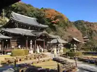 三室戸寺の本殿・本堂