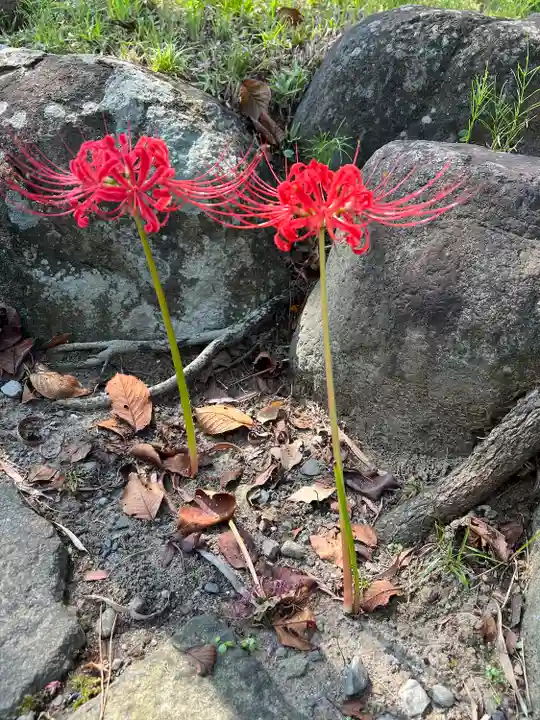 高幡不動尊 金剛寺(東京都)