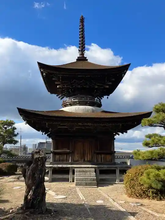 大樹寺(松安院大樹寺)(愛知県)