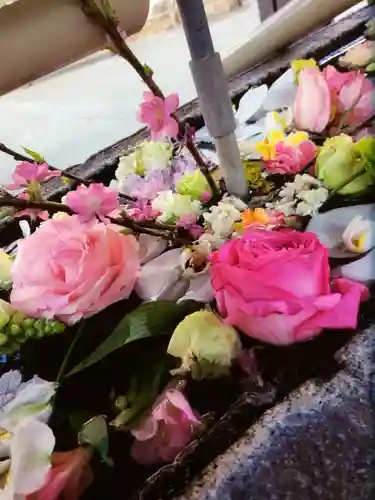 鳩森八幡神社(東京都)