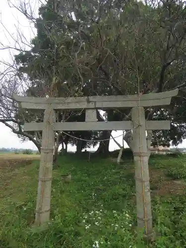 裏つくば、恋瀬川沿いの神社の鳥居