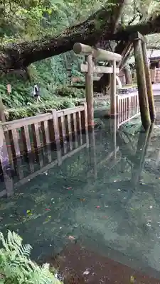 鹿島神宮の鳥居
