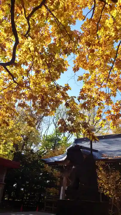 相馬神社(北海道)