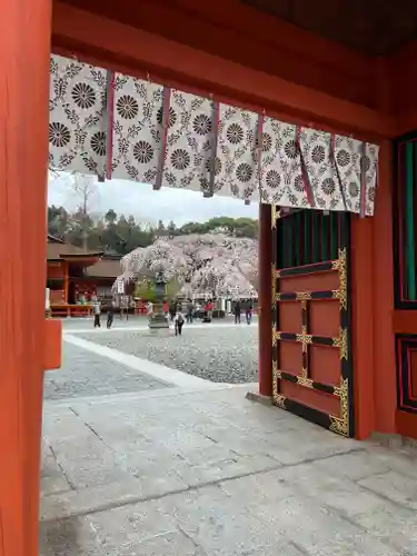 富士山本宮浅間大社(静岡県)