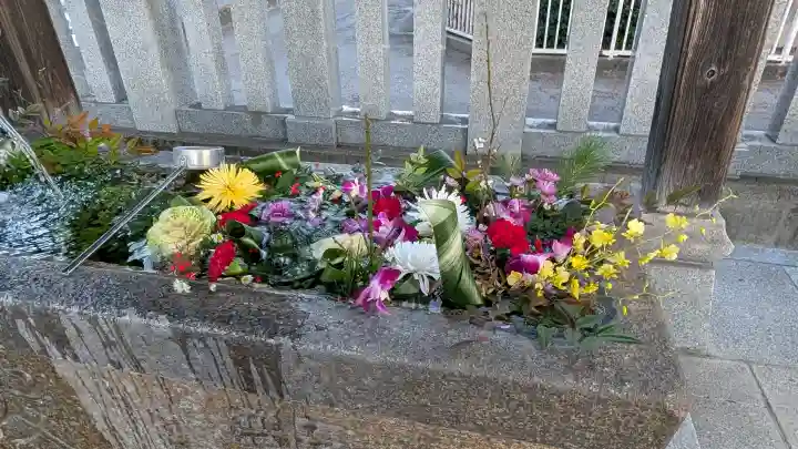鹿沼今宮神社の{uncategorized: "未分類", other: "その他", undefined: "問題あり", building: "その他建物", grave: "お墓", sacred_gate: "鳥居", guardian: "狛犬", statue: "像", buddha: "仏像", history: "歴史", nature: "自然", garden: "庭園", animal: "動物", pagoda: "塔", temizu: "手水舎", mountain_gate: "山門・神門", sanctuary: "本殿・本堂", subordinate: "末社・摂社", art: "芸術", scenery: "景色", jizo: "地蔵", ema: "絵馬", goshuin: "御朱印", omikuji: "おみくじ", items: "授与品その他", amulet: "お守り", goshuincho: "御朱印帳", eats: "食事", festival: "お祭り", votive_dance: "神楽", shichigosan: "七五三参", wedding: "結婚式", experience: "体験その他", initially: "初詣", around: "周辺", anti_infection: "感染症対策"}