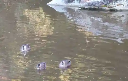 刺田比古神社(和歌山県)