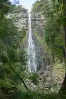飛瀧神社(熊野那智大社別宮)(和歌山県)
