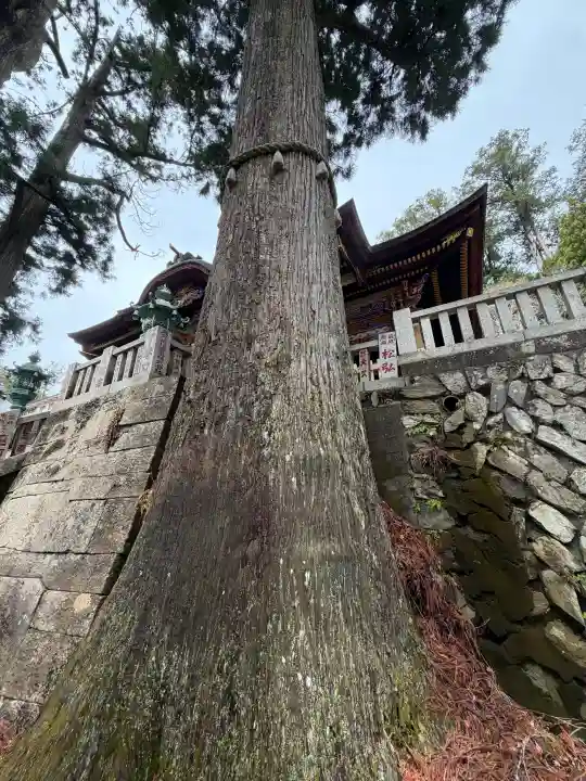三峯神社の{uncategorized: "未分類", other: "その他", undefined: "問題あり", building: "その他建物", grave: "お墓", sacred_gate: "鳥居", guardian: "狛犬", statue: "像", buddha: "仏像", history: "歴史", nature: "自然", garden: "庭園", animal: "動物", pagoda: "塔", temizu: "手水舎", mountain_gate: "山門・神門", sanctuary: "本殿・本堂", subordinate: "末社・摂社", art: "芸術", scenery: "景色", jizo: "地蔵", ema: "絵馬", goshuin: "御朱印", omikuji: "おみくじ", items: "授与品その他", amulet: "お守り", goshuincho: "御朱印帳", eats: "食事", festival: "お祭り", votive_dance: "神楽", shichigosan: "七五三参", wedding: "結婚式", experience: "体験その他", initially: "初詣", around: "周辺", anti_infection: "感染症対策"}
