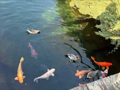 西林寺奥の院(杖の淵)の周辺