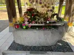 彌彦神社　(伊夜日子神社)(北海道)