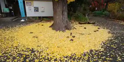 平野神社(京都府)