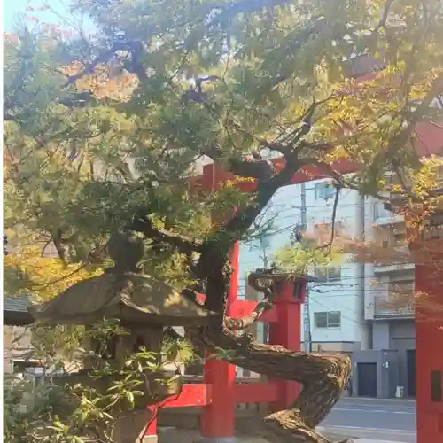 彌彦神社　(伊夜日子神社)の自然