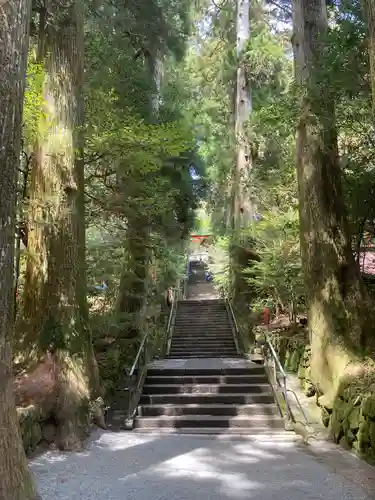 箱根神社(神奈川県)