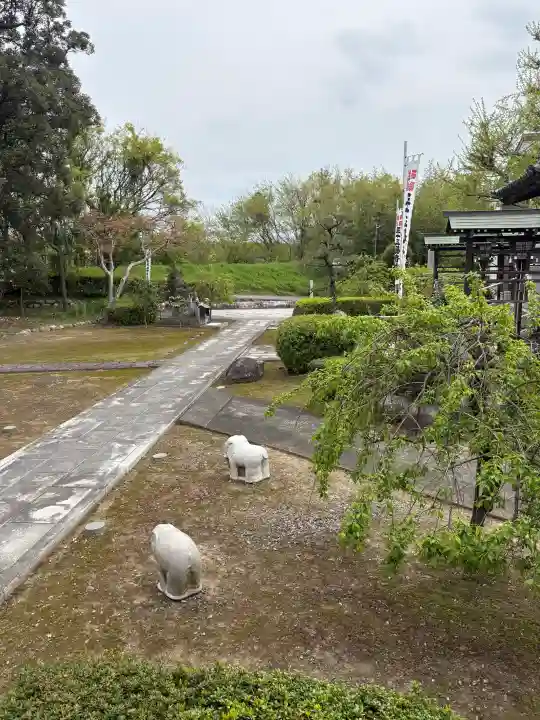 観音院の{uncategorized: "未分類", other: "その他", undefined: "問題あり", building: "その他建物", grave: "お墓", sacred_gate: "鳥居", guardian: "狛犬", statue: "像", buddha: "仏像", history: "歴史", nature: "自然", garden: "庭園", animal: "動物", pagoda: "塔", temizu: "手水舎", mountain_gate: "山門・神門", sanctuary: "本殿・本堂", subordinate: "末社・摂社", art: "芸術", scenery: "景色", jizo: "地蔵", ema: "絵馬", goshuin: "御朱印", omikuji: "おみくじ", items: "授与品その他", amulet: "お守り", goshuincho: "御朱印帳", eats: "食事", festival: "お祭り", votive_dance: "神楽", shichigosan: "七五三参", wedding: "結婚式", experience: "体験その他", initially: "初詣", around: "周辺", anti_infection: "感染症対策"}