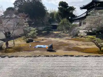 鹿王院(京都府)