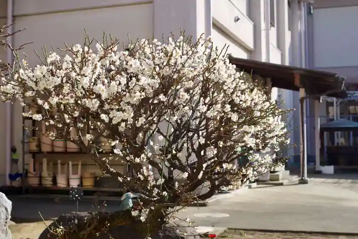福王山 慈眼寺(東京都)
