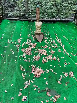 日光二荒山神社(栃木県)