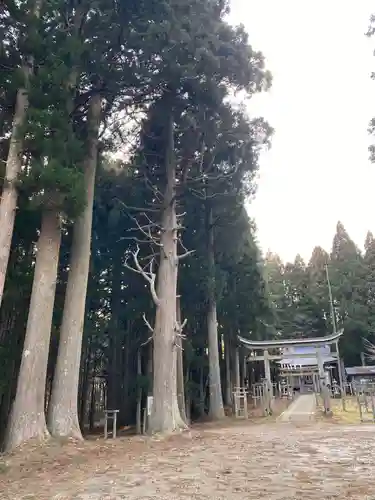 諏訪神社の鳥居