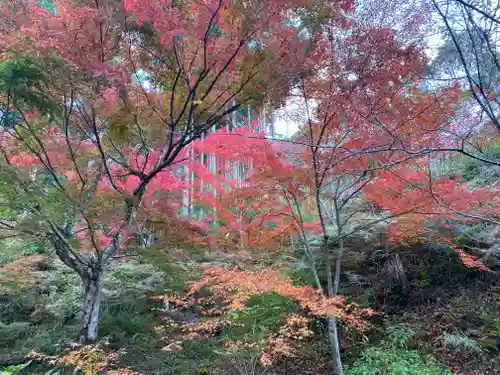 高蔵寺(兵庫県)