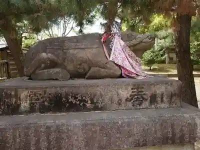 北野天満宮の狛犬