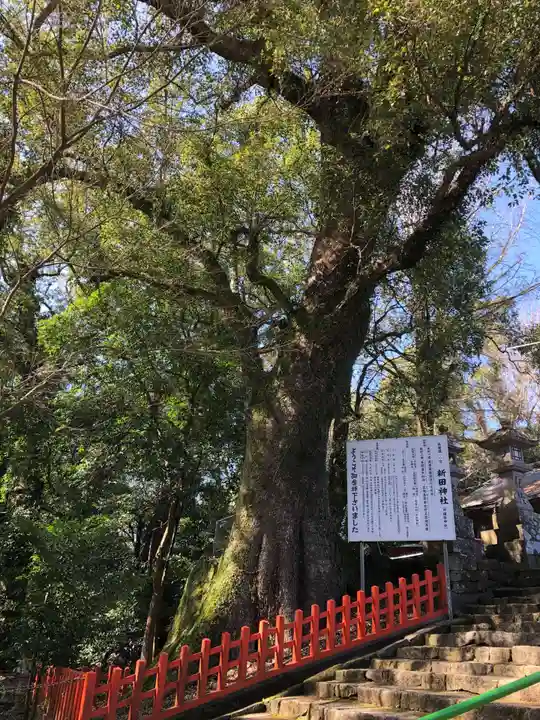 新田神社のその他建物