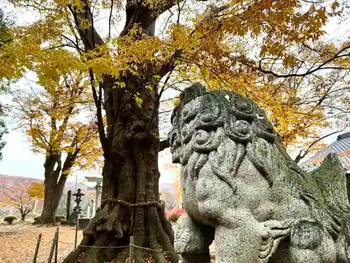 白鳥神社の狛犬