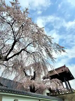 長松院(福島県)