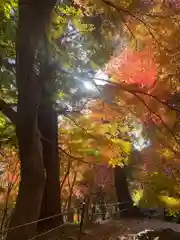 普門寺(切り絵御朱印発祥の寺)(愛知県)