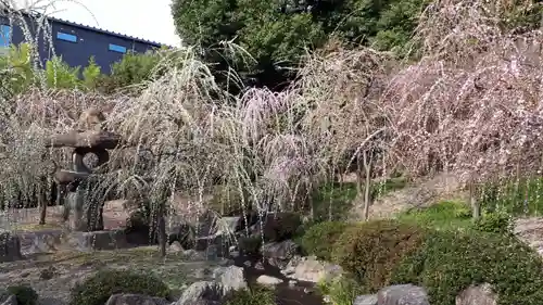 城南宮(京都府)