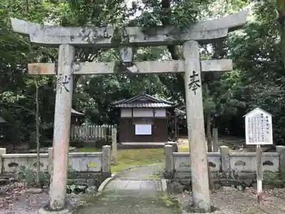 伊曽乃神社(愛媛県)