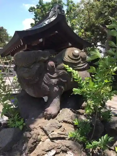 菊田神社の狛犬