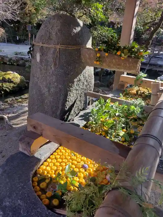 賀茂別雷神社(上賀茂神社)の手水舎